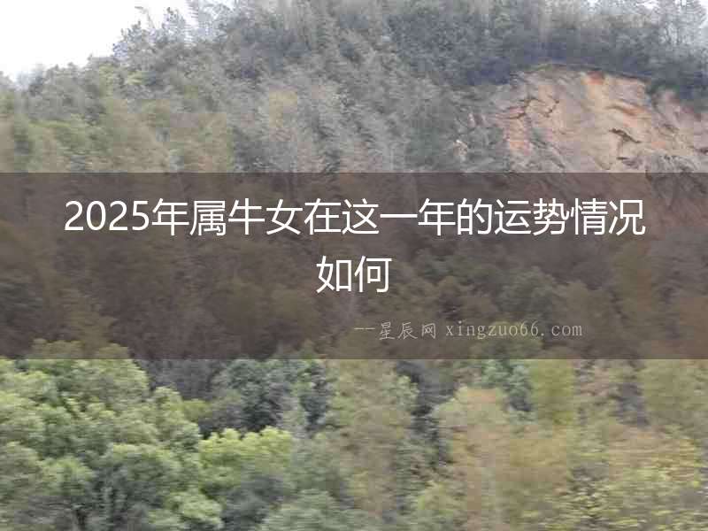 2025年屬牛女在這一年的運勢情況如何