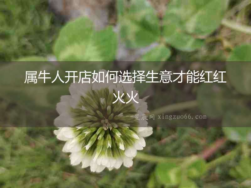屬牛人開店如何選擇生意才能紅紅火火