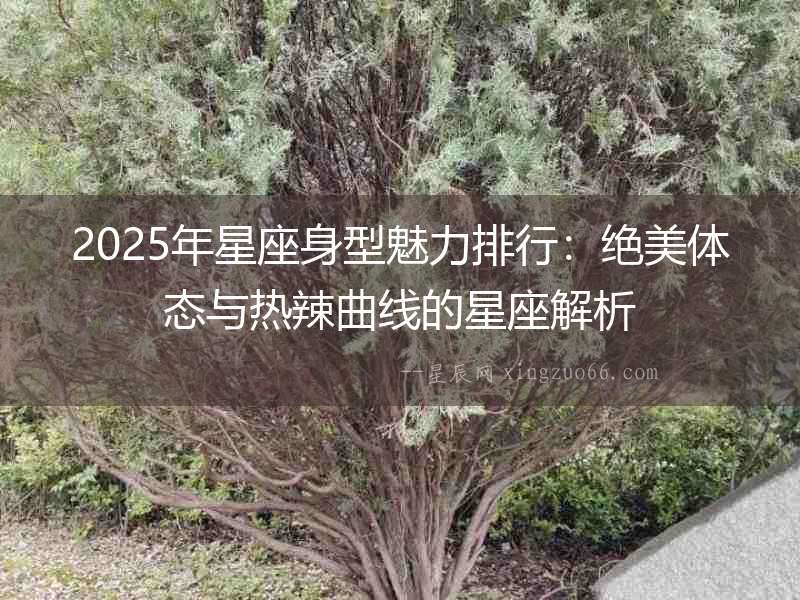 2025年星座身型魅力排行：絕美體態與熱辣曲線的星座解析