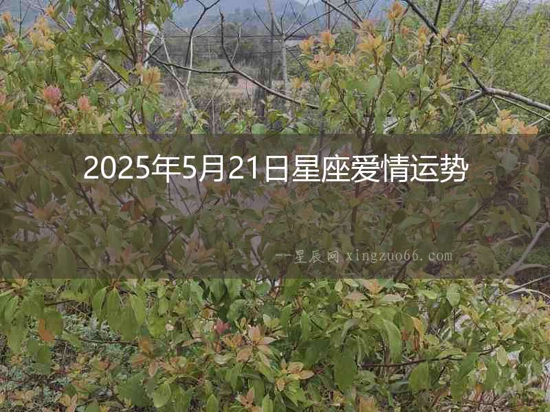 2025年5月21日星座愛情運勢