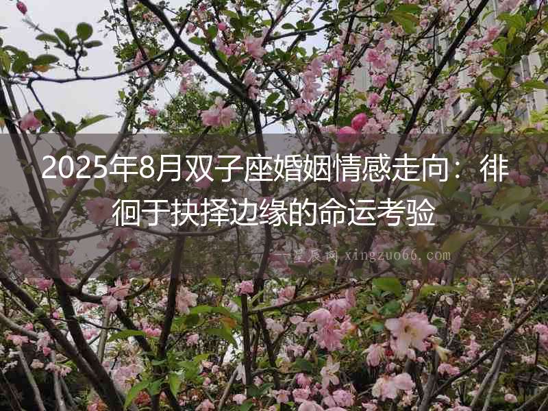 2025年8月雙子座婚姻情感走向：徘徊于抉擇邊緣的命運考驗