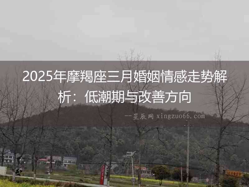 2025年摩羯座三月婚姻情感走勢解析：低潮期與改善方向