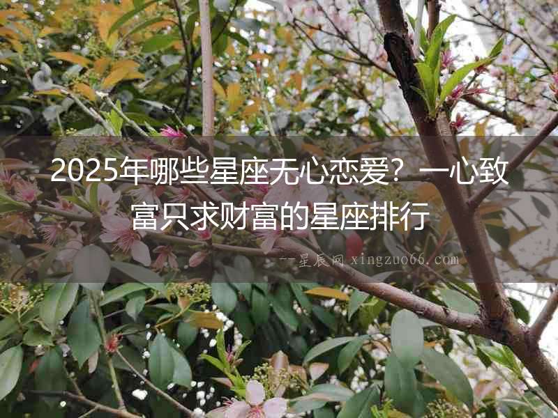 2025年哪些星座無心戀愛？一心致富只求財(cái)富的星座排行