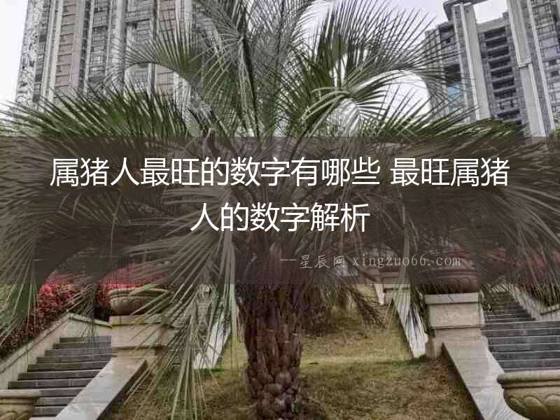 屬豬人最旺的數(shù)字有哪些 最旺屬豬人的數(shù)字解析