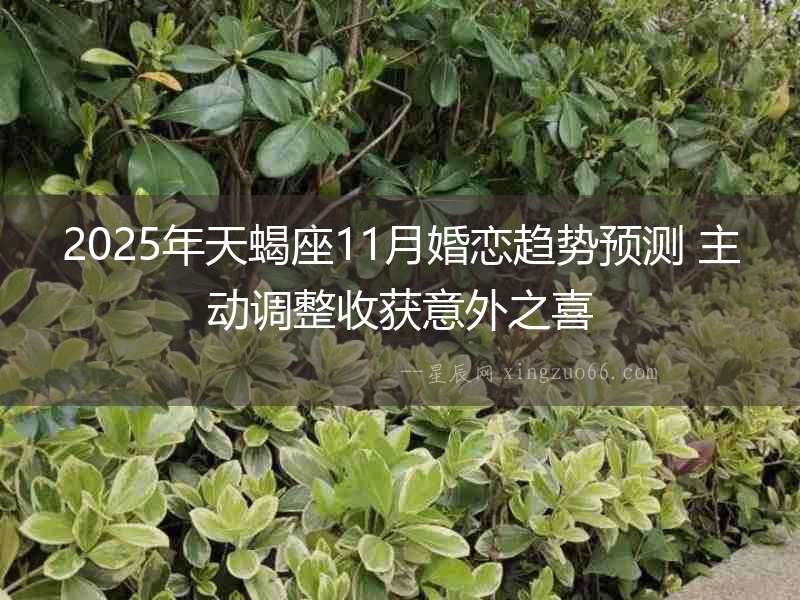 2025年天蝎座11月婚戀趨勢預測 主動調整收獲意外之喜