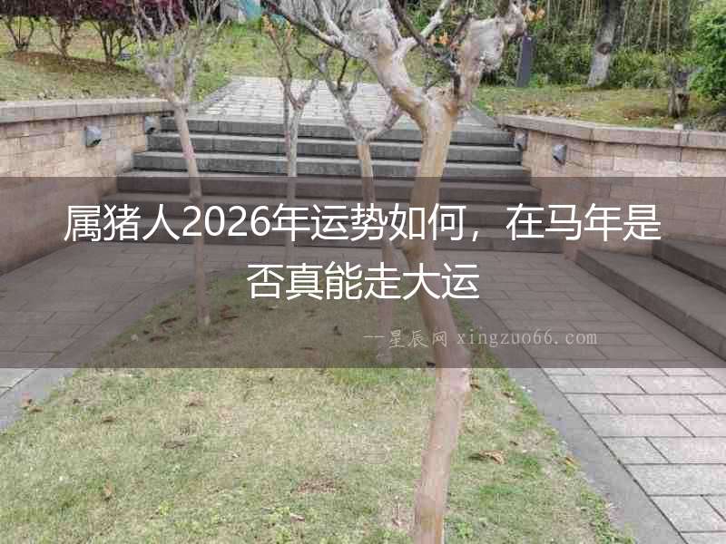 屬豬人2026年運(yùn)勢(shì)如何，在馬年是否真能走大運(yùn)