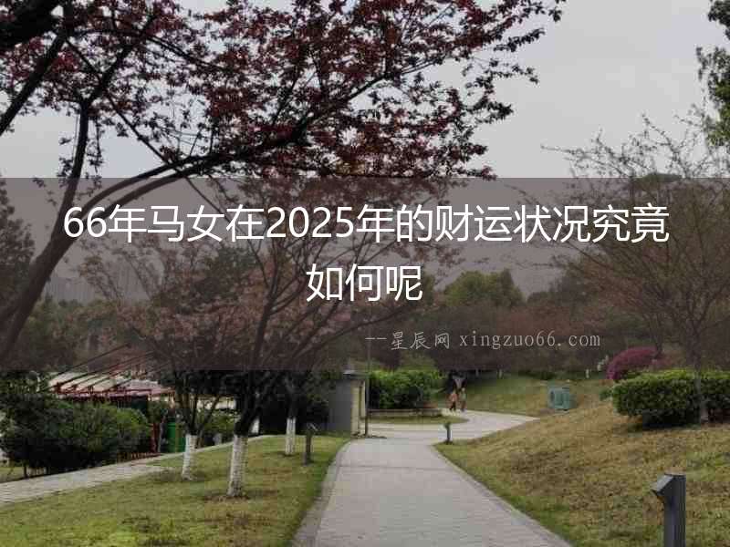 66年馬女在2025年的財運狀況究竟如何呢