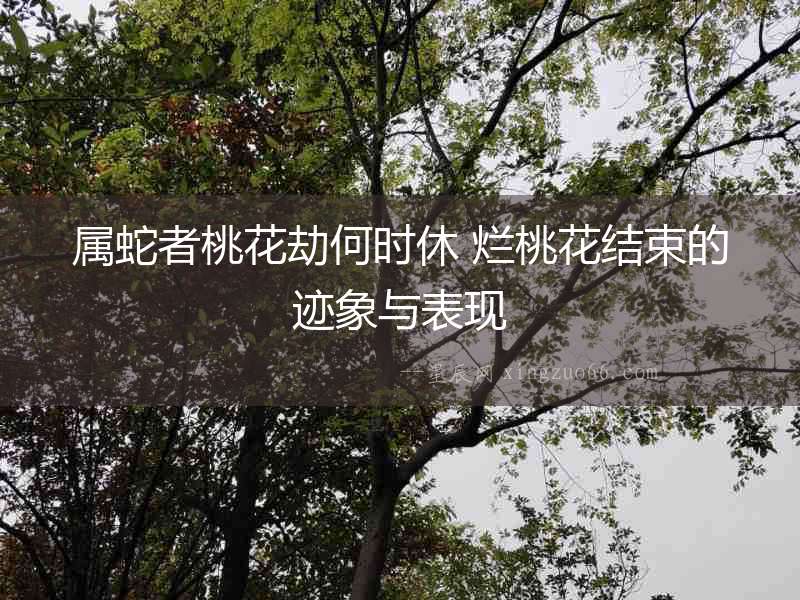 屬蛇者桃花劫何時(shí)休 爛桃花結(jié)束的跡象與表現(xiàn)
