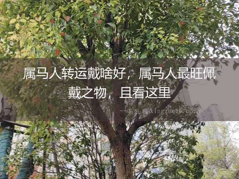 屬馬人轉運戴啥好，屬馬人最旺佩戴之物，且看這里