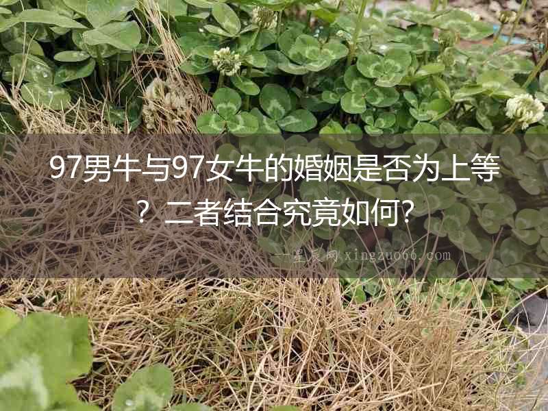 97男牛與97女牛的婚姻是否為上等？二者結合究竟如何？