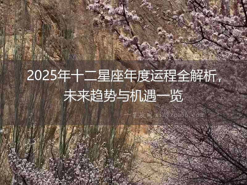 2025年十二星座年度運程全解析，未來趨勢與機(jī)遇一覽