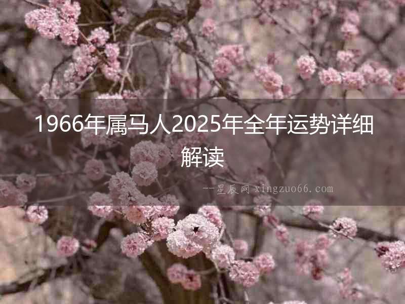1966年屬馬人2025年全年運(yùn)勢(shì)詳細(xì)解讀