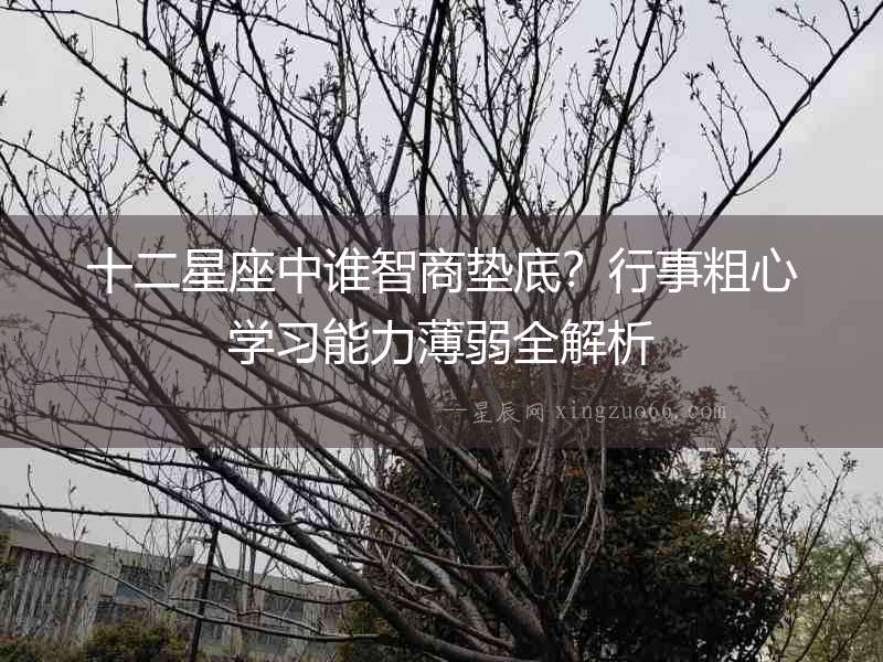 十二星座中誰(shuí)智商墊底？行事粗心學(xué)習(xí)能力薄弱全解析