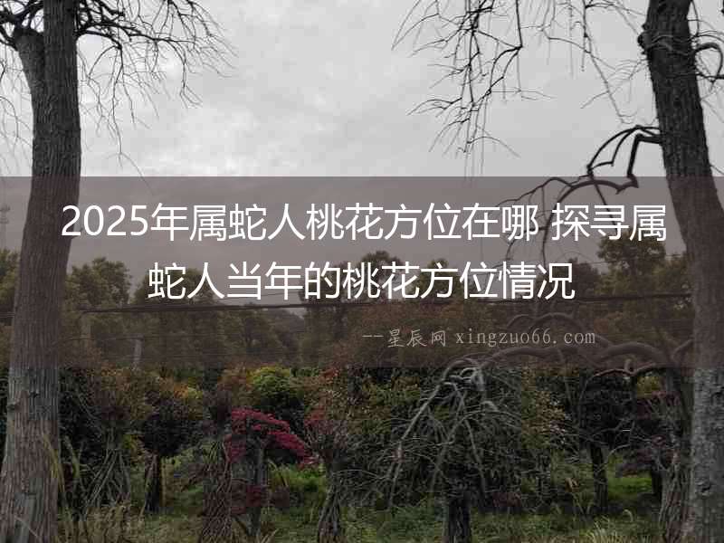 2025年屬蛇人桃花方位在哪 探尋屬蛇人當年的桃花方位情況