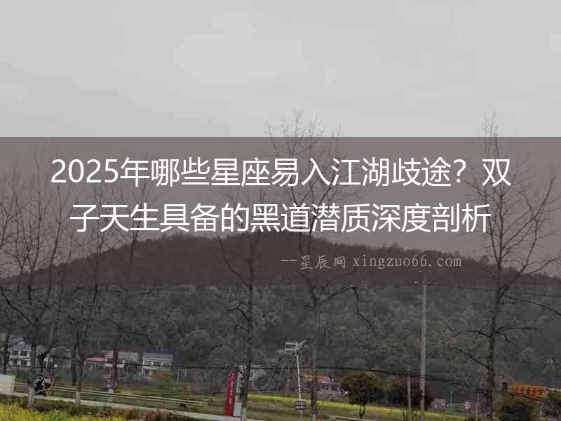 2025年哪些星座易入江湖歧途？雙子天生具備的黑道潛質深度剖析