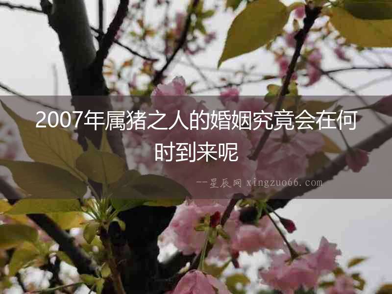 2007年屬豬之人的婚姻究竟會在何時到來呢