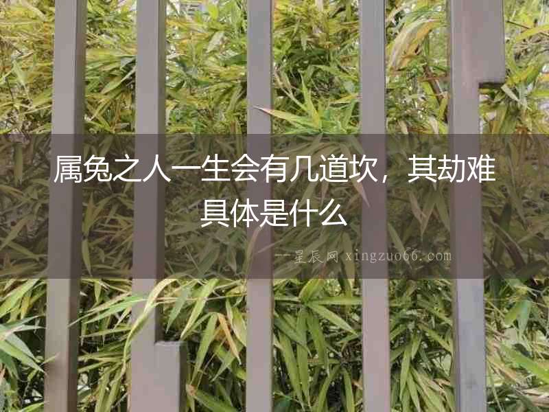 屬兔之人一生會有幾道坎，其劫難具體是什么
