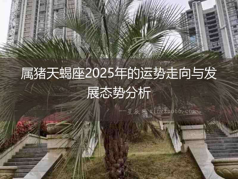 屬豬天蝎座2025年的運勢走向與發展態勢分析