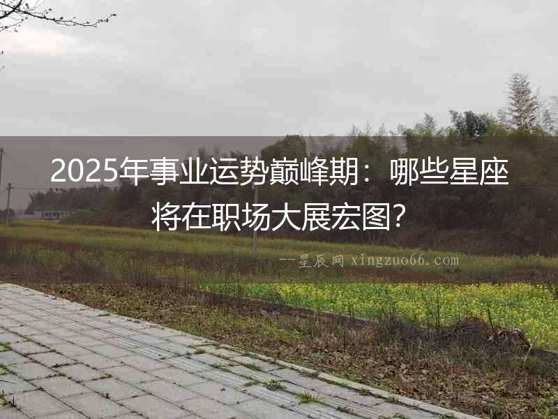 2025年事業運勢巔峰期：哪些星座將在職場大展宏圖？