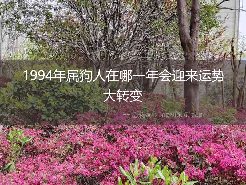 1994年屬狗人在哪一年會(huì)迎來運(yùn)勢大轉(zhuǎn)變