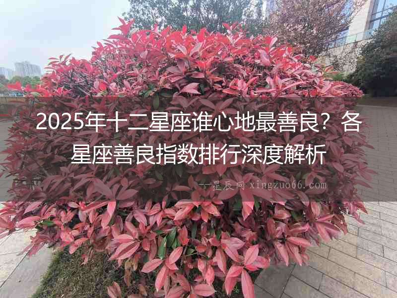 2025年十二星座誰心地最善良？各星座善良指數(shù)排行深度解析
