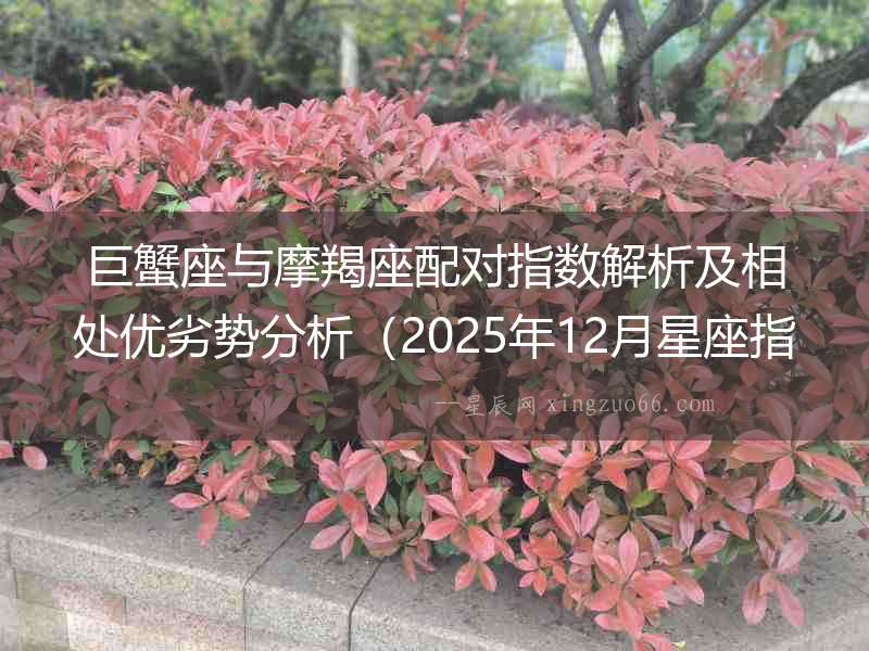 巨蟹座與摩羯座配對(duì)指數(shù)解析及相處優(yōu)劣勢(shì)分析（2025年12月星座指南）
