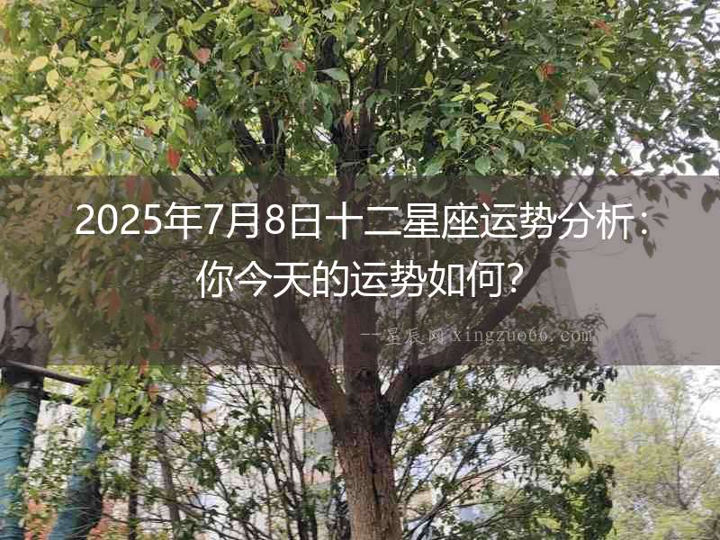 2025年7月8日十二星座運勢分析：你今天的運勢如何？