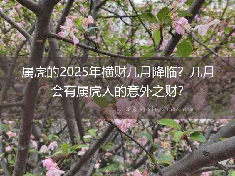 屬虎的2025年橫財幾月降臨？幾月會有屬虎人的意外之財？