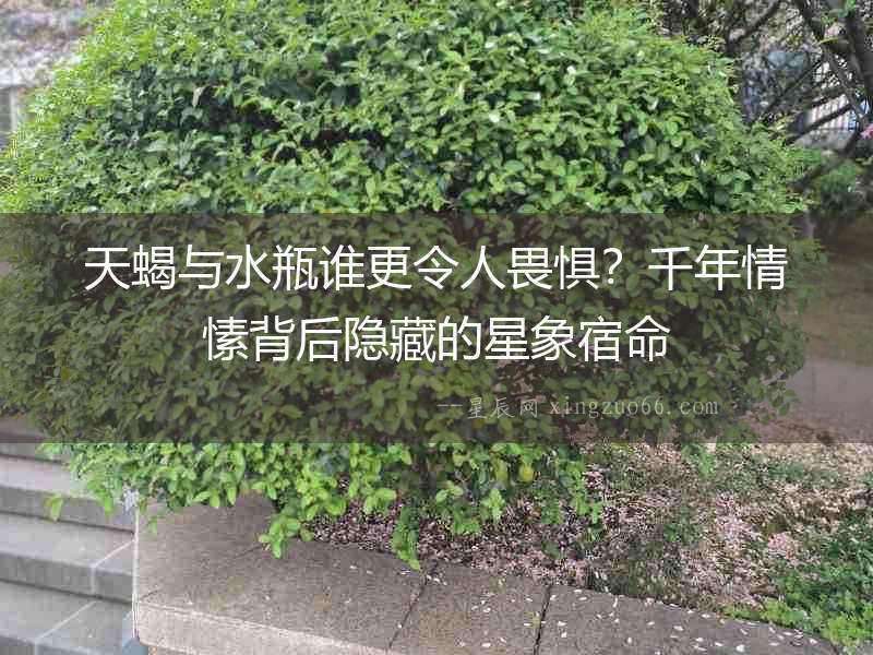 天蝎與水瓶誰更令人畏懼？千年情愫背后隱藏的星象宿命