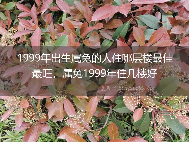 1999年出生屬兔的人住哪層樓最佳最旺，屬兔1999年住幾樓好