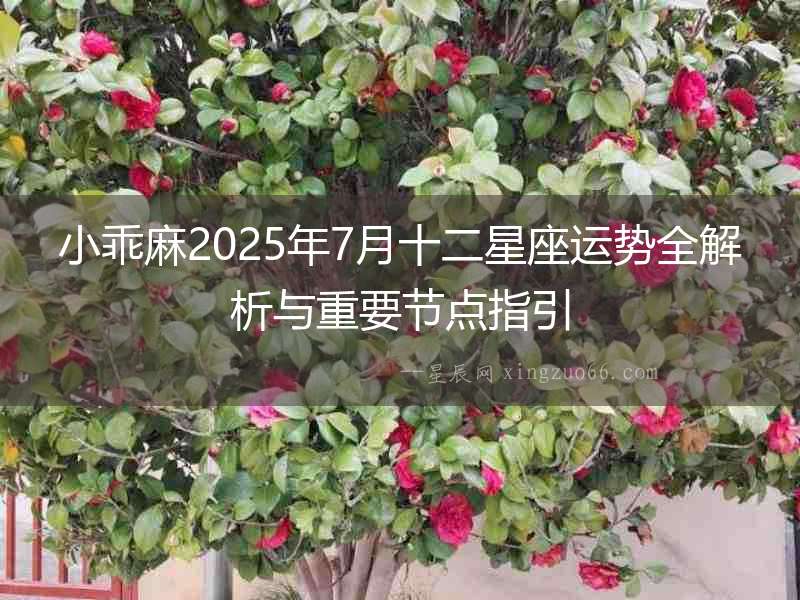 小乖麻2025年7月十二星座運勢全解析與重要節(jié)點指引