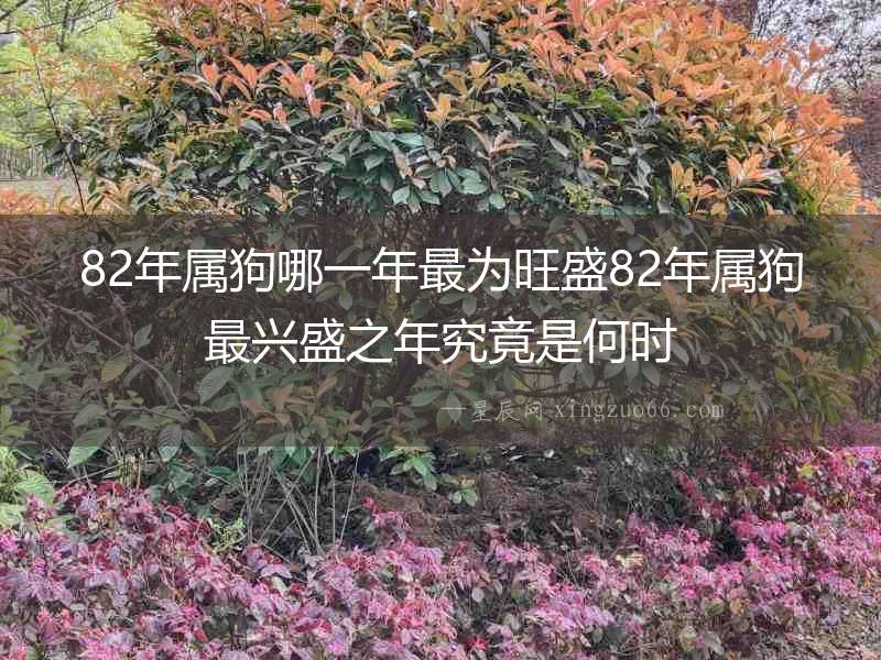 82年屬狗哪一年最為旺盛82年屬狗最興盛之年究竟是何時