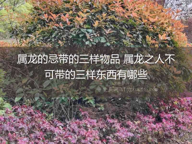 屬龍的忌帶的三樣物品 屬龍之人不可帶的三樣?xùn)|西有哪些