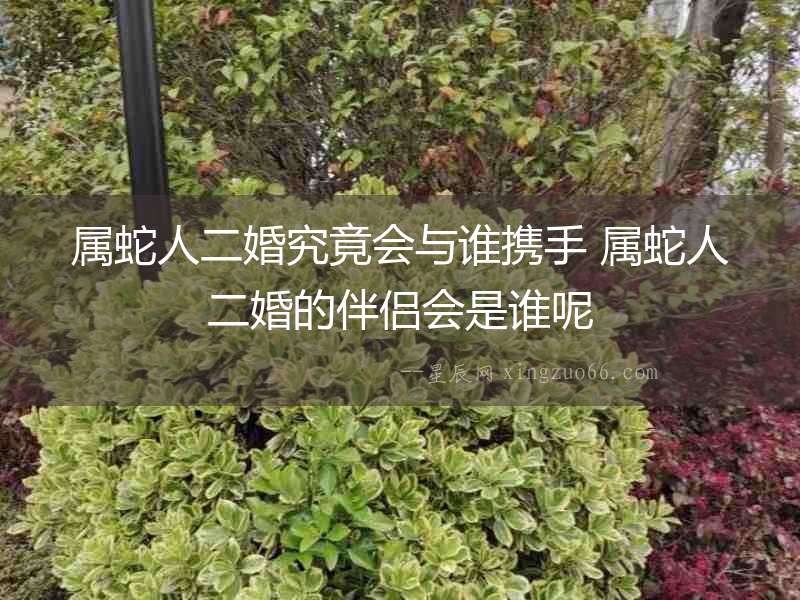 屬蛇人二婚究竟會(huì)與誰(shuí)攜手 屬蛇人二婚的伴侶會(huì)是誰(shuí)呢