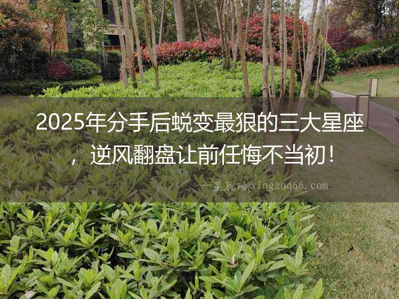 2025年分手后蛻變最狠的三大星座，逆風翻盤讓前任悔不當初！