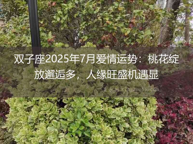雙子座2025年7月愛情運(yùn)勢：桃花綻放邂逅多，人緣旺盛機(jī)遇顯