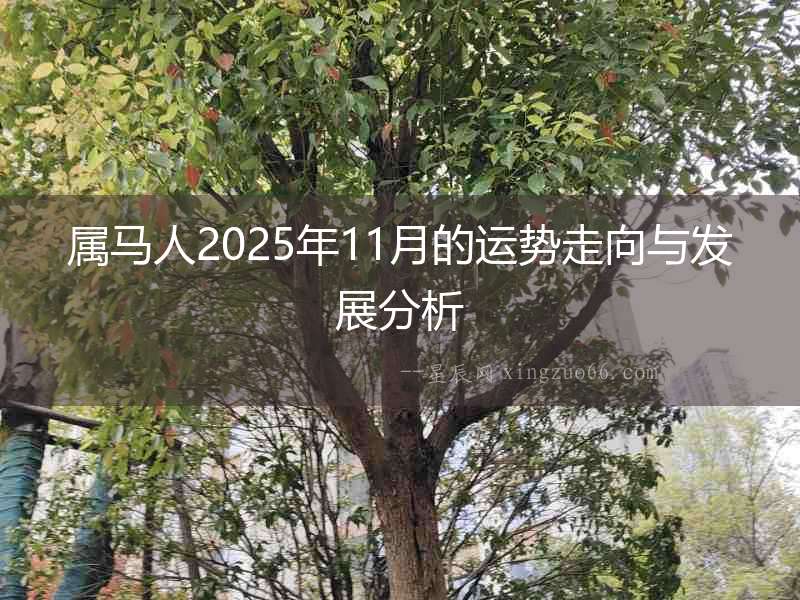 屬馬人2025年11月的運勢走向與發(fā)展分析