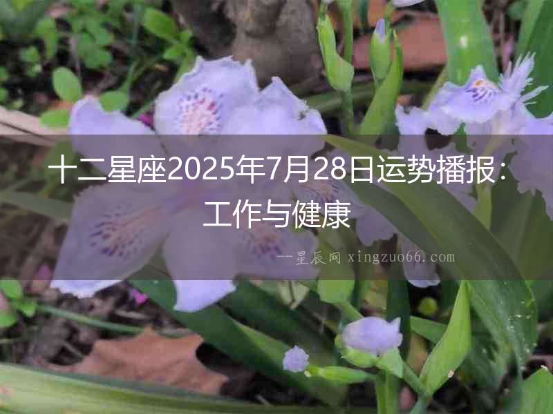 十二星座2025年7月28日運(yùn)勢(shì)播報(bào)：工作與健康
