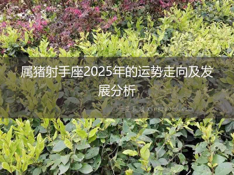 屬豬射手座2025年的運(yùn)勢(shì)走向及發(fā)展分析