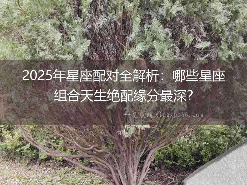 2025年星座配對(duì)全解析：哪些星座組合天生絕配緣分最深？
