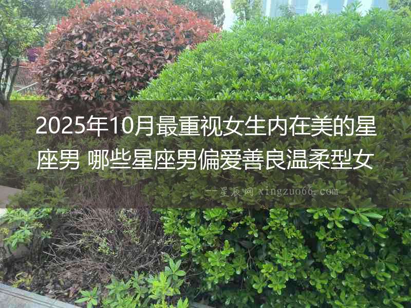 2025年10月最重視女生內(nèi)在美的星座男 哪些星座男偏愛(ài)善良溫柔型女生