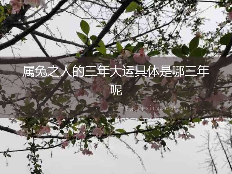 屬兔之人的三年大運(yùn)具體是哪三年呢