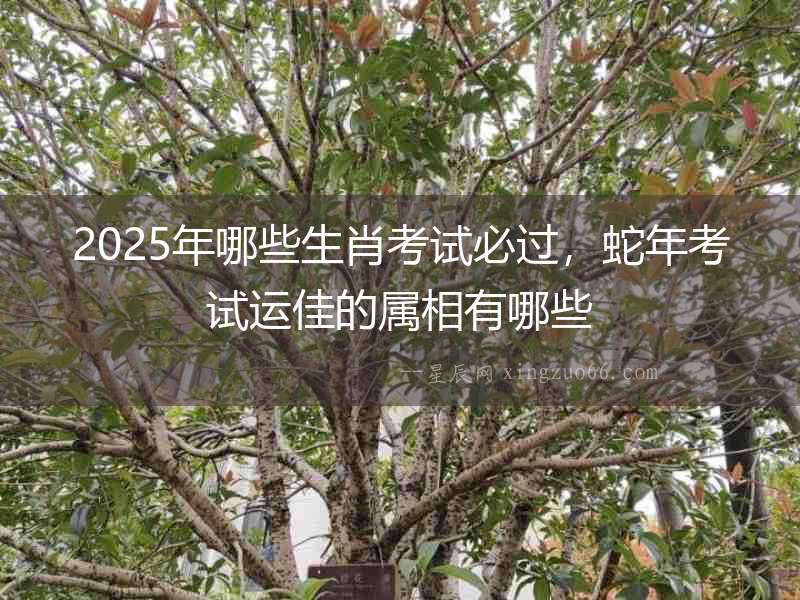 2025年哪些生肖考試必過，蛇年考試運佳的屬相有哪些