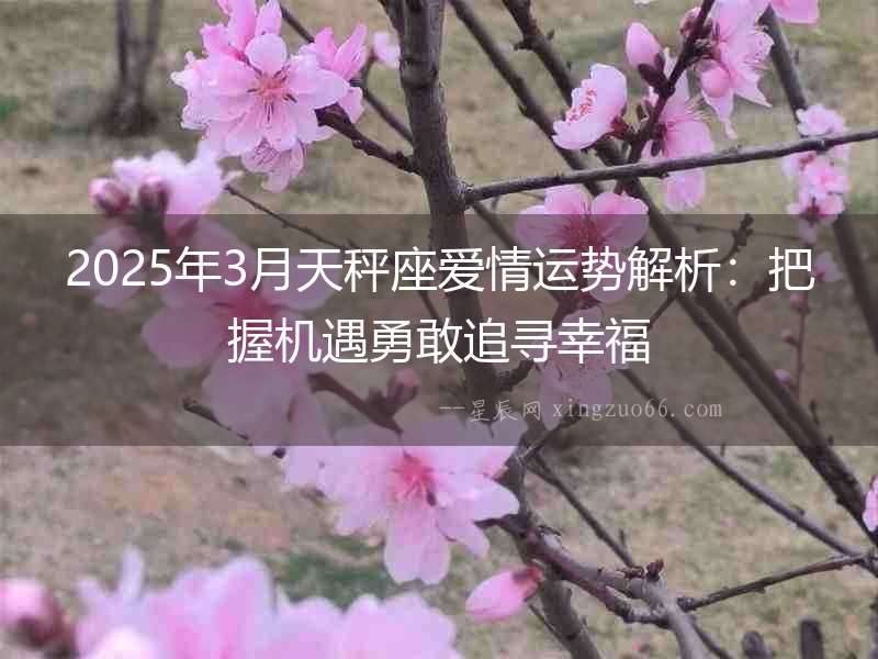2025年3月天秤座愛情運勢解析：把握機遇勇敢追尋幸福