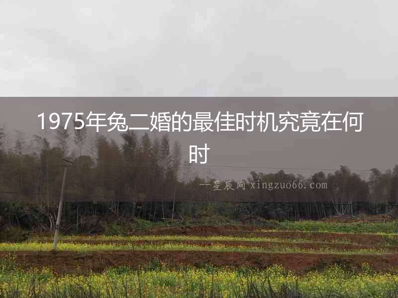 1975年兔二婚的最佳時機究竟在何時
