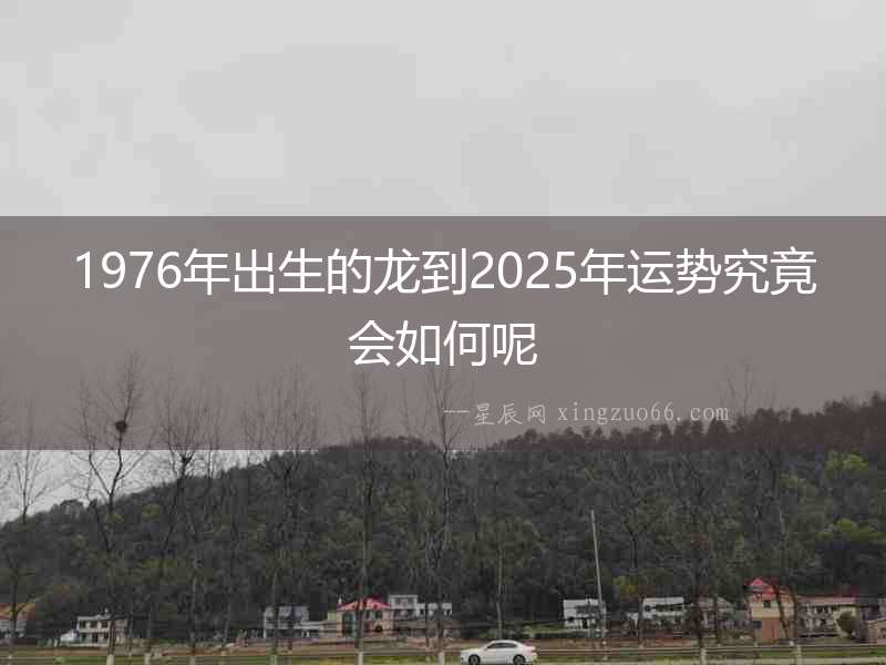 1976年出生的龍到2025年運勢究竟會如何呢