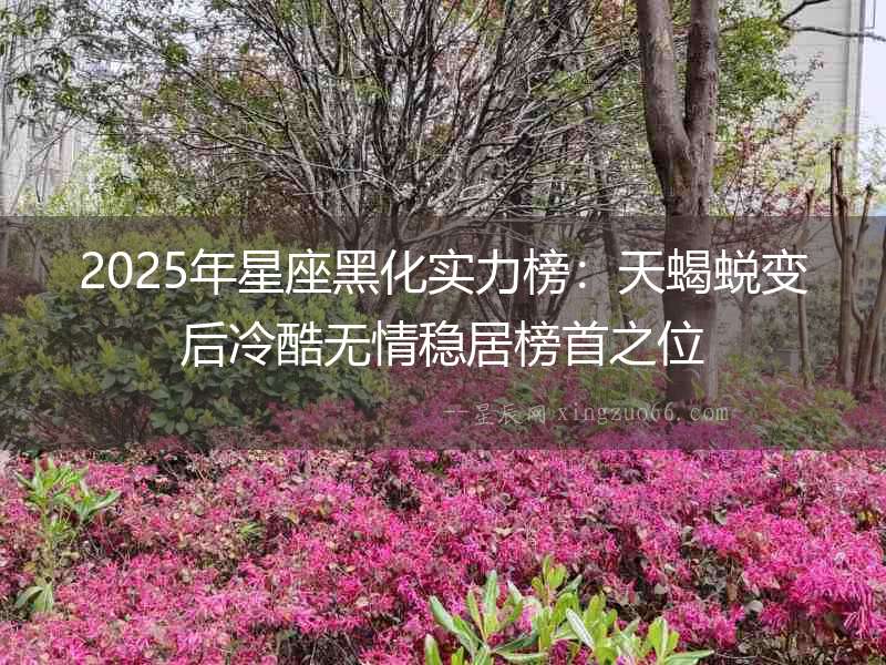 2025年星座黑化實力榜：天蝎蛻變后冷酷無情穩居榜首之位