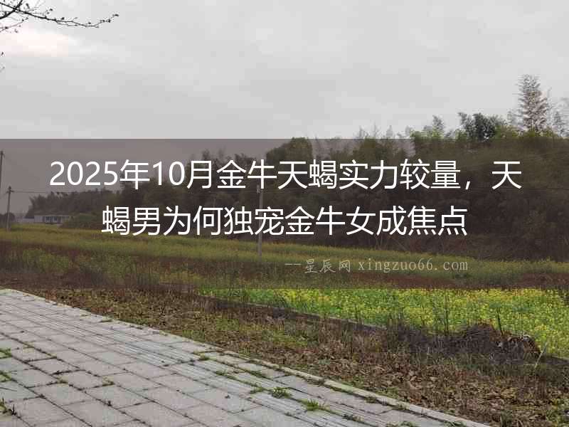 2025年10月金牛天蝎實力較量，天蝎男為何獨寵金牛女成焦點