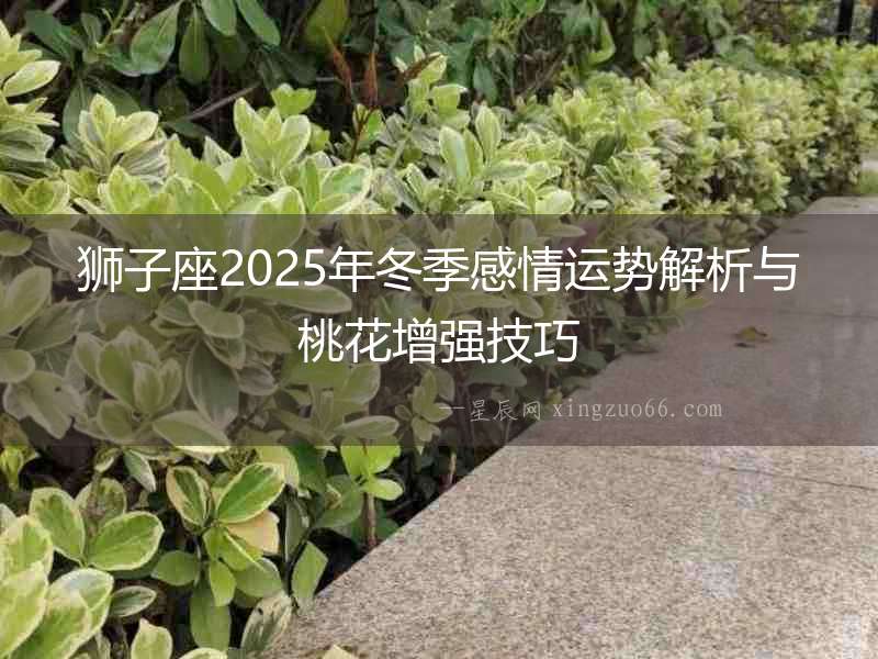 獅子座2025年冬季感情運(yùn)勢解析與桃花增強(qiáng)技巧