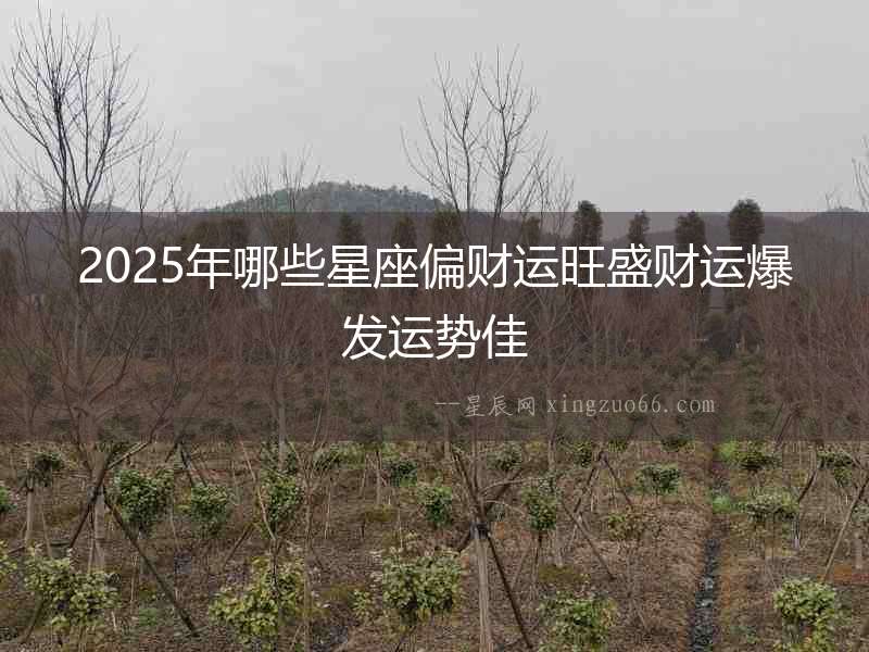 2025年哪些星座偏財運旺盛財運爆發運勢佳